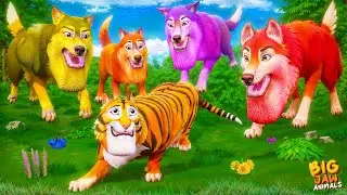 Tiger Cub Surrounded by Wild Wolves! 🐯🔥 Epic Jungle Rescue Begins | Big Jaw Animals