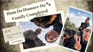 Himalayan Puppy from a Bakarwal Dera | Our Journey to Bring Home TARA