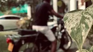 Ride alone |  CD125 benly
