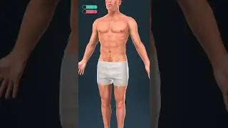 #anatomy #3danatomy #afersession #anatomytutorial #humananatomy