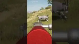 I HAD NO CHOICE 💀🔫 | theHunter: Call of the Wild