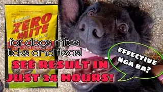 MABISANG PANTANGGAL NG GARAPATA || SHAMPOO FOR #DOGMITES#FLEA#MANGE || CON AMIGAS