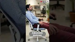 Wolf Chair &mdash; Ergonomic Mesh Office Chair with Adjustable HD Handle & Full Support