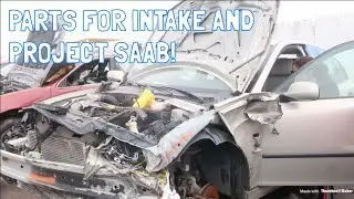 Pre-Quarantine Saab Junkyard Looting!