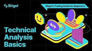 Technical Analysis Basics | Bitget's Trading Guide For Beginners