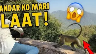 &ldquo;Bandar Ko Maari Laat 😱 | Mount Abu Mein Hui Zabardast Fighting Moment The Rahul Vlogs ❣️