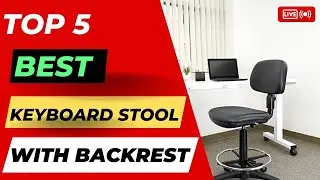 Top 5 Best Keyboard Stool with backrest