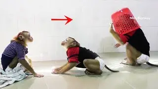 Most Funny Dodoo Wear Basket Walking With chasing Mori When Playing