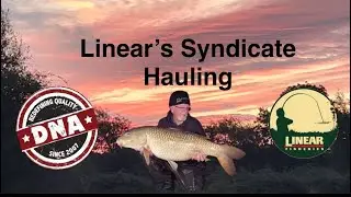 Видеоблог 38: Nine Carp расправились с бандой парней из Linear.