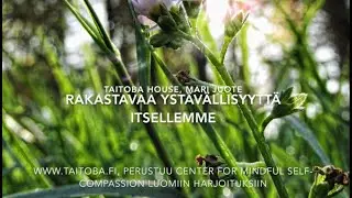 Rakastavaa ystävällisyyttä itsellemme -meditaatio, Mari Juote, TaitoBa ja selfcompassion.fi