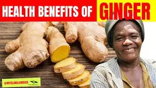 😲 I'm 63 with NO Pressure, No Diabetes, No Cholesterol - NOTHING (Magic of #ginger)  🇯🇲