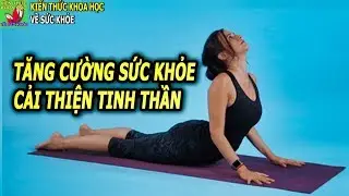 10 Tư thế yoga rất tốt cho sức khỏe và tinh thần ai cũng nên biết sớm