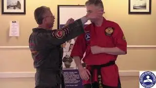 SKA - TAIN GATHERING - KYOSHI JAMES DENNING