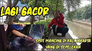 MANCING DI KALI JAKARTA //PESTA STREK