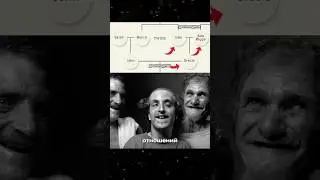 Почему эта семья общается лаем?
