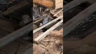 Mastering the Precision Skills of Expert Sawmill Operators