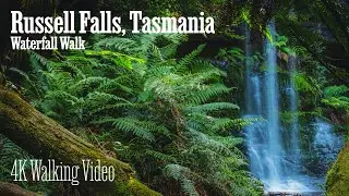 4K Tasmania Walking Tour - Russell Falls