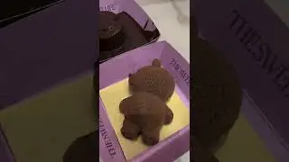 Teddy bear chocolate cake and hot Chocolate dip cake. #viralvideo #farooqcooks #2026  #hotchoclate