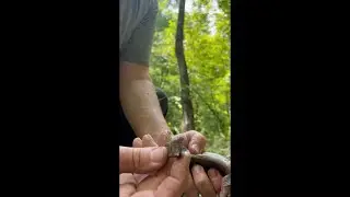 Georgia Woodsman Scout Skills#-Make7A  Make a Cutting Tool from Flint or Chert