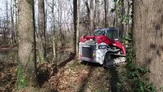 Turning overgrown woods into usable land | forestry mulching in Alabama | Timberworx No&rsquo;Ala
