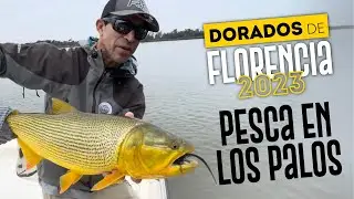 Pesca Florencia, dorados en los palos.