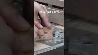 Neck reset a Taylor Guitar