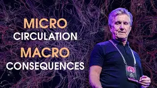 Why Microcirculation Matters