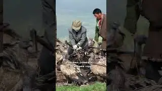 Капала-ритуальный сосуд из черепа #кладоискатели #история #артефакты #хронос #xronos
