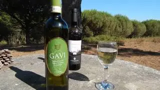 Вино итальянское  GAVI cortese в Европе