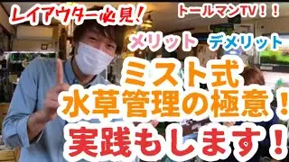 ミスト式の極意！メリットデメリットについてと実践編！トールマンTV！