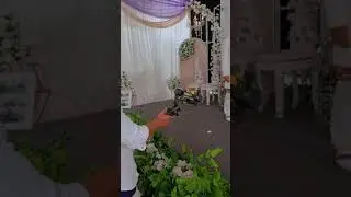 Tiktok dj ignite ratu Aulia terbaru || kerja kerja..😅
