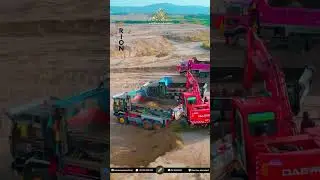 New City Paradise | Development Update