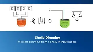 How to control a Shelly Dimmer wireless from an Input module with dimming