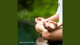 Peaceful Zen Waterfall