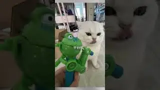 Cat Robot Ki Masti 😺🤖 | Funny Cat Robot Moments | Must Watch! #CatRobot #FunnyCat #RobotMasti