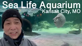 Visit Kansas City, MO in Winter time.