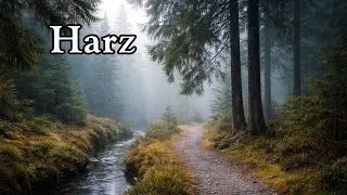 Sch&ouml;ne Natur im Harz | Entspannung & sanfte Musik