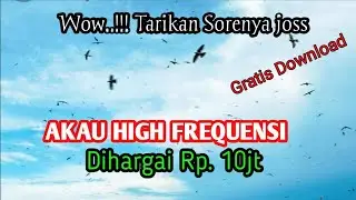 Akau High Frequensi Suara Walet Viral 2022