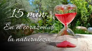 15 минут. Песочные часы ⏳ в сердце природы 🌲🌳🌳.
