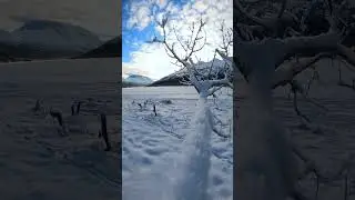 #instagramer #ytool #naturelovers #beautiful #nature #view