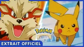 Arcanin | Pok&eacute;mon : Les &Icirc;les Orange | Extrait officiel