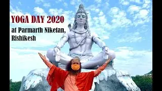 Yoga Day 2020 Highlights Video