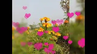 Natural