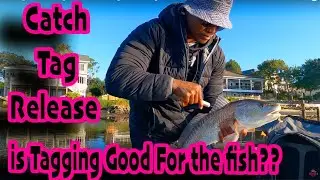 Catching Redfish to Tag &ndash; Are You For or Against the Program?
