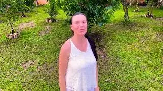 20 years old Rare & Exotic  Fruit Tree Collection in a regular size Fl lot! (Part 1)