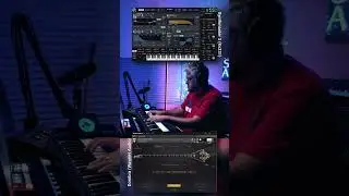 Two insane libraries for composers @kv331audio @waveletaudio
