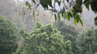 NATURE VIDEO FOOTAGE FREE DOWNLOAD - NATURE BACKGROUND NO COPYRIGHT VIDEO - FREE STOCK FOOTAGE 2