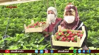 Emek&ccedil;iler 1 Mayıs'ta alanda değil mesaideydi