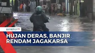 Hujan Deras Disertai Angin Kencang: Pohon Tumbang di Bogor, Banjir Rendam Jagakarsa dan Mampang