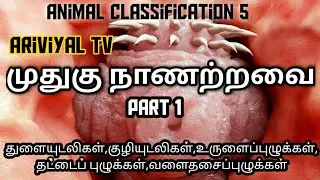 முதுகுநாணற்றவை   Invertebrates tamil